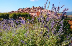 Roussillon-Lavande-Provence