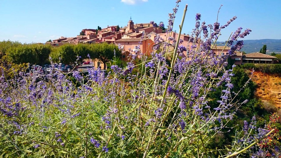 Roussillon-Lavande-Provence