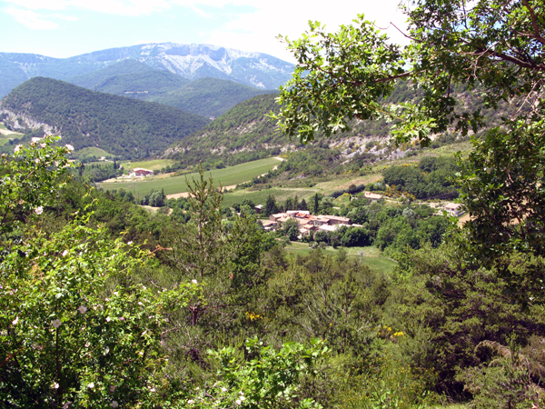 Vallée bucolique au nord de Buis-les-Baronnies.